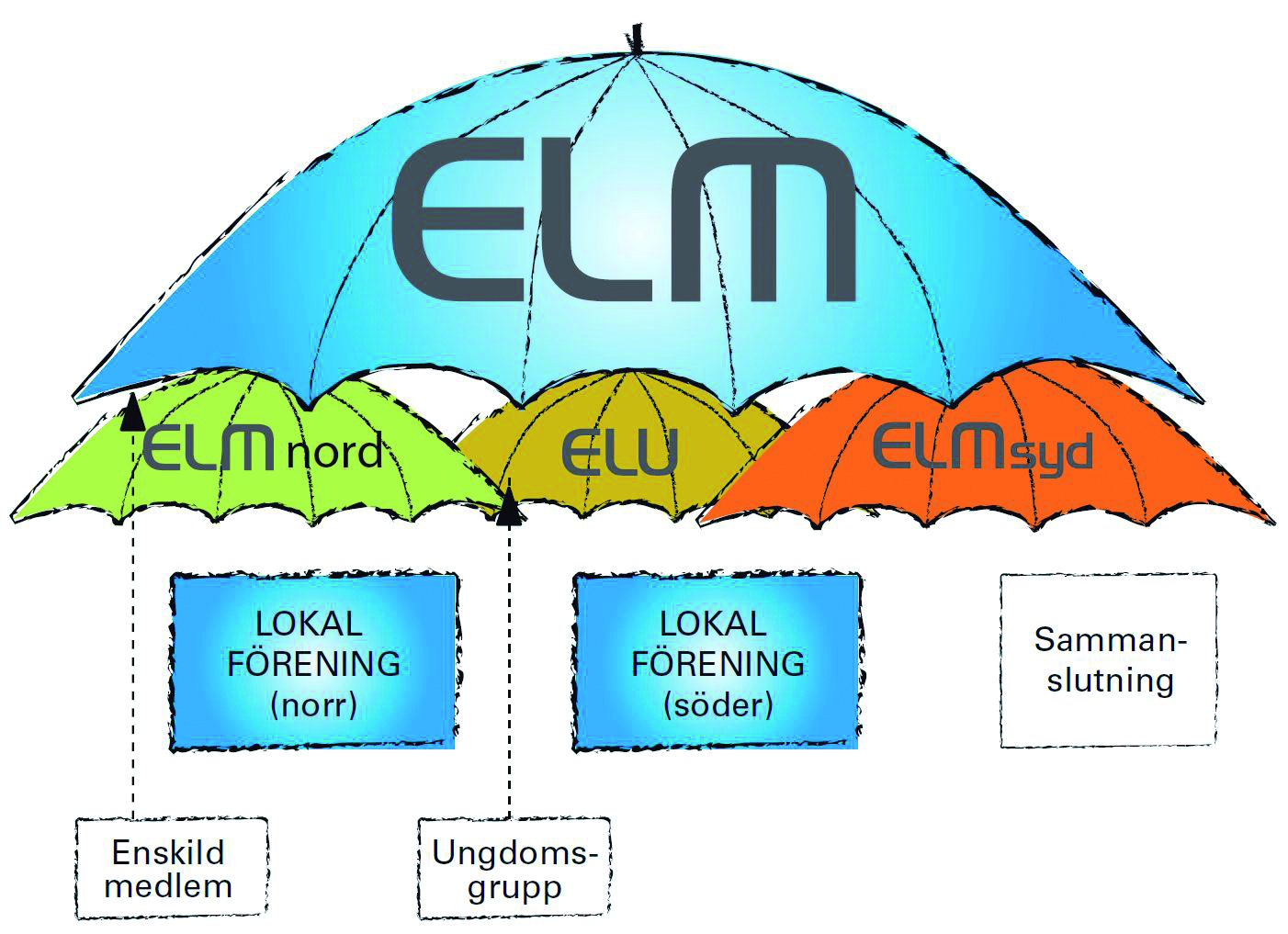 Bilder som tydliggör ELMs organisationsstruktur.
